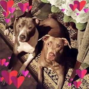 Meet your Posher, Tess